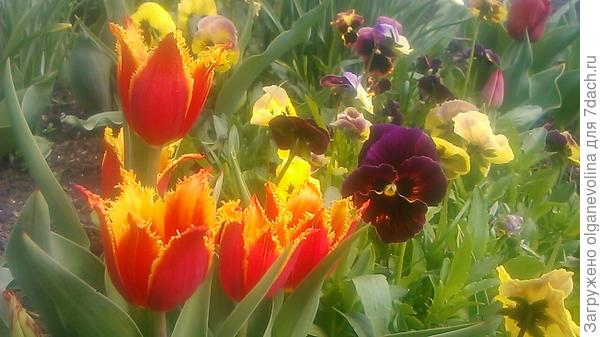 Наш месяц - самый красивый в году!