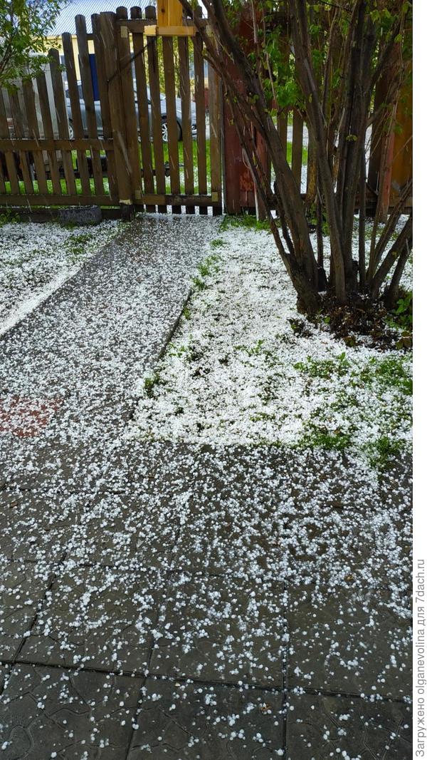 Все дорожки побелели.