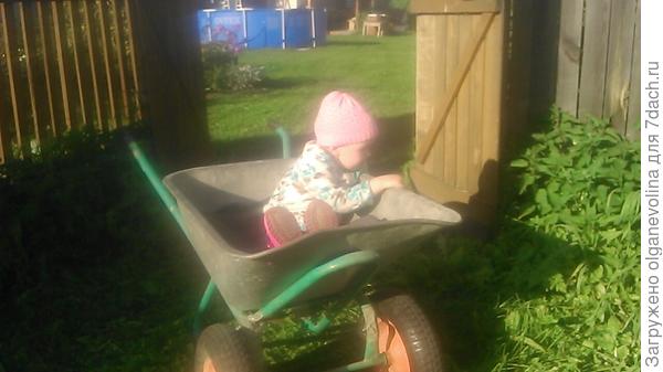 А здесь мы с Лизой за земелькой поехали для цветочков!