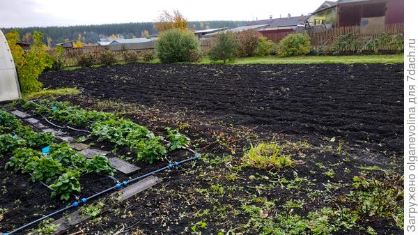 Огород вспахали.