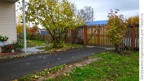 Лист с орешника почти облетел, а несколько кашпо с петуниями оставила