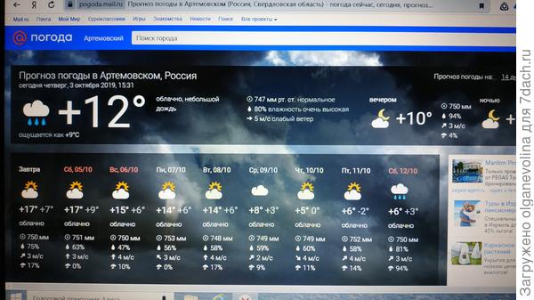 Вот что обещают синоптики