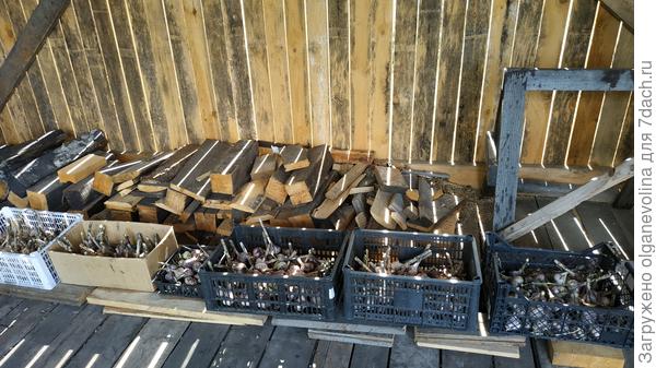 В белой корзинке и картонной коробке чеснок первой репродукции, затем в маленькой корзинке однозубки, в черных корзинках &amp;quot;старый&amp;quot; чеснок. Корзинки стоят на дощечках для сквозняка.