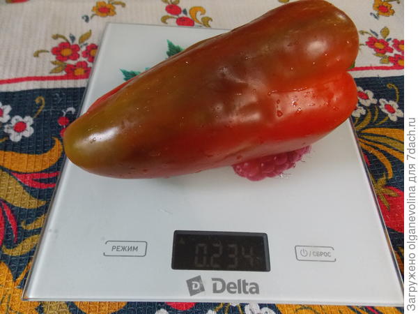 Для лечо