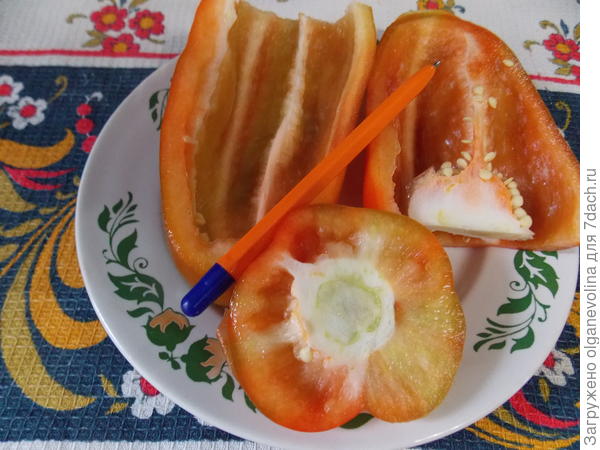 Санькина любовь на срезе