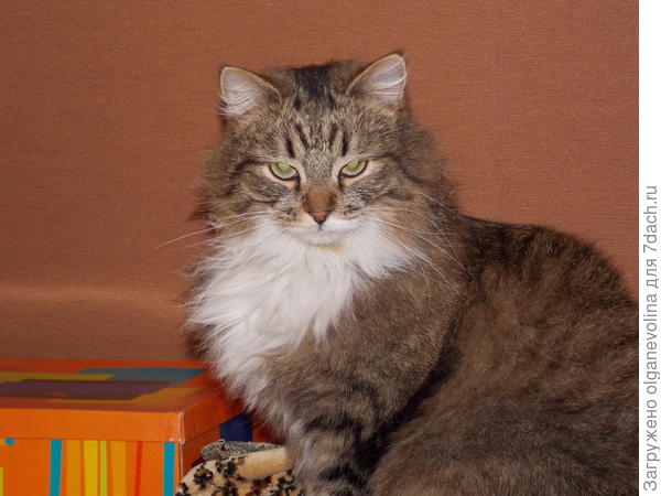 Марсик во всей красе