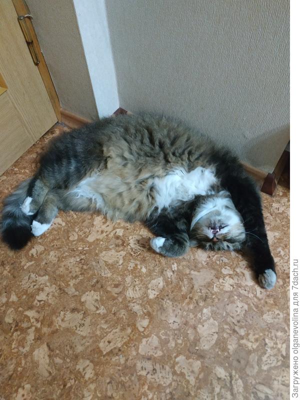 Отдыхать можно разными способами и в разных местах