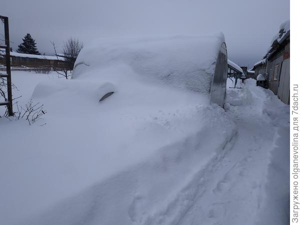 Снимок от 11 февраля 2019 года. Снега теплица выдержала. Рядом хлебница для баклажанов вся в снегу утонула.