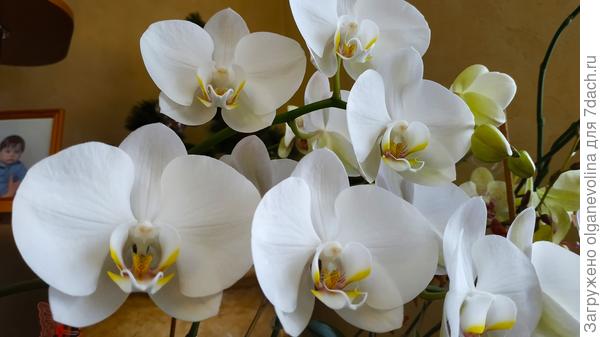 С Днем рождения!