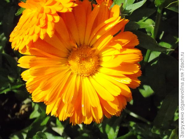 Яркой жизни!