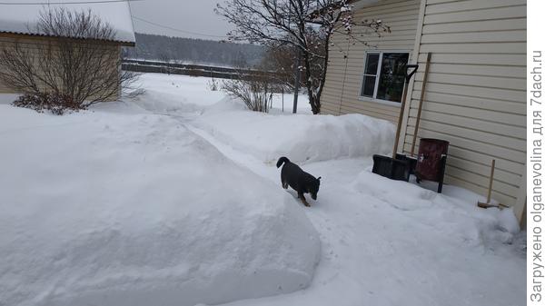 Утро 2 января 2020 года