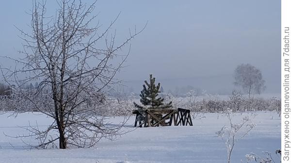 Утро 8 января