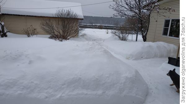 Снега 2 января