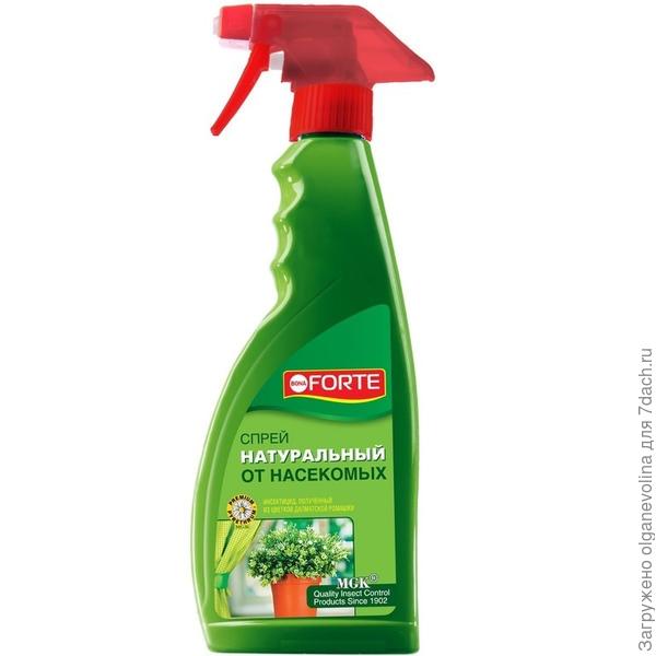 Вот пример. Спрей Бона Форте