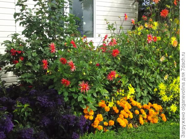 Лето 2015 года