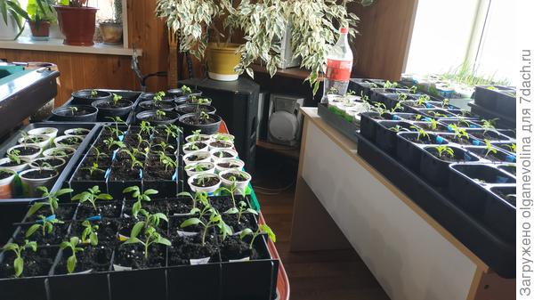 Это только небольшая часть!