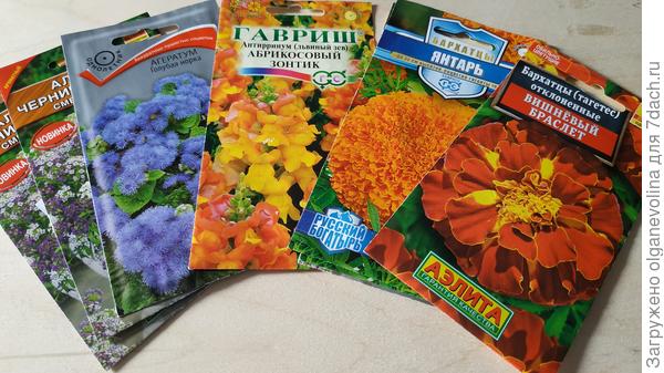 Алиссум и бархатцы остались в пакетиках.