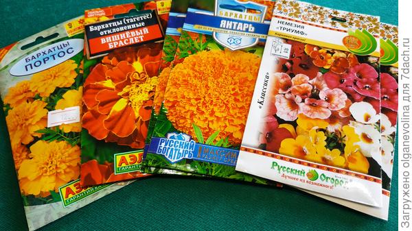 Сегодня сеяла