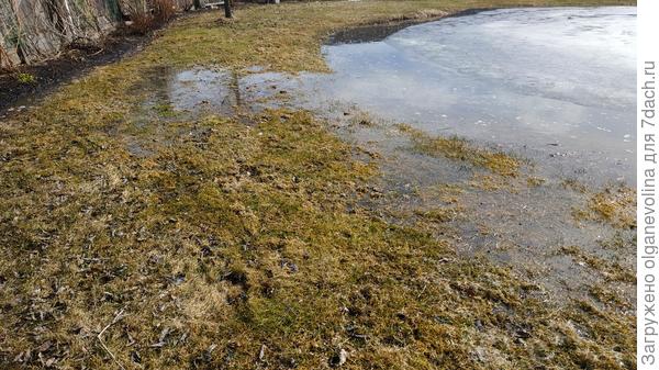 Пруд из берегов выходит