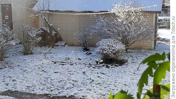 Сегодня утром - снова зима