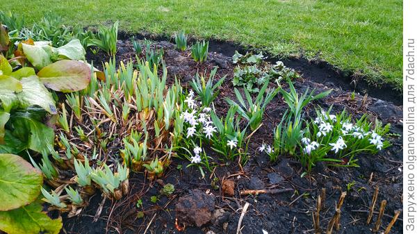 зелень изумрудная!