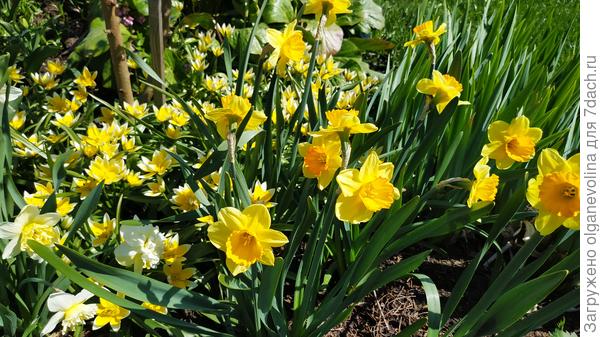 Солнечного дня и прекрасного настроения!