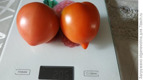 Слева - Малиновая Империя, справа - Юбилейный Тарасенко