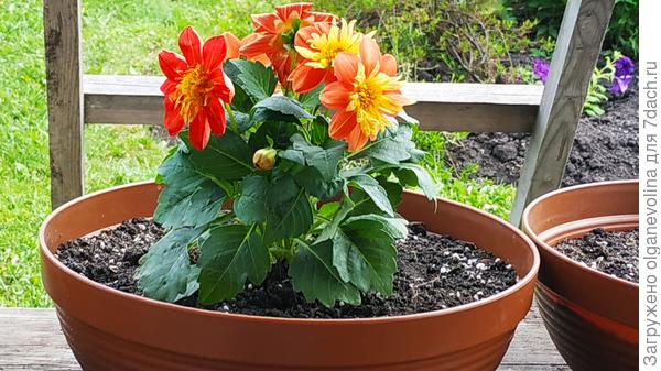 Этот малыш был самым красивым!