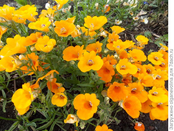 Теплой осени и прекрасного настроения!