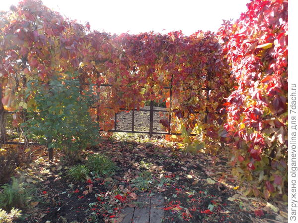 Все снимки сделаны 02.10.2020