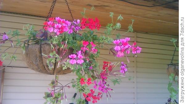 Летний дождь в подвесном капо