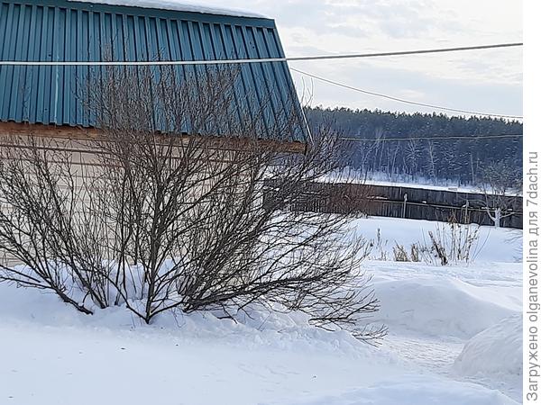 Снег слетел и с больших и с малых крыш