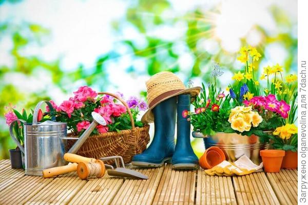 С началом дачной истории!