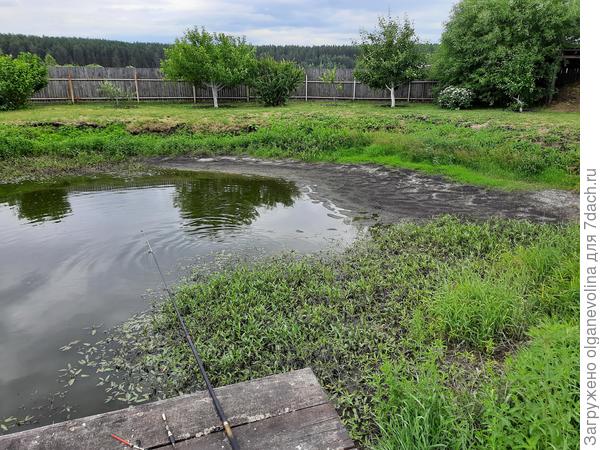 Это фото от 19 июня, к концу месяца воды еще убавилось наполовину.