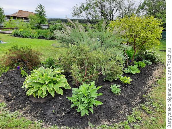 Начало июня