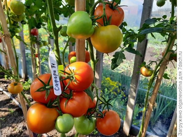 До конца октября украшали салаты