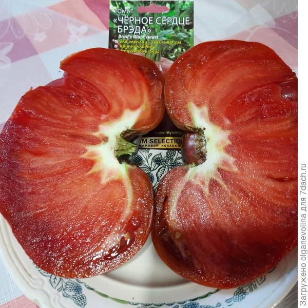 Вот как это не попробовать