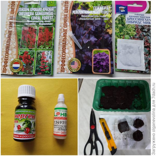 Таблетки диаметром 41 мм после набухания разрезала на 2 части.