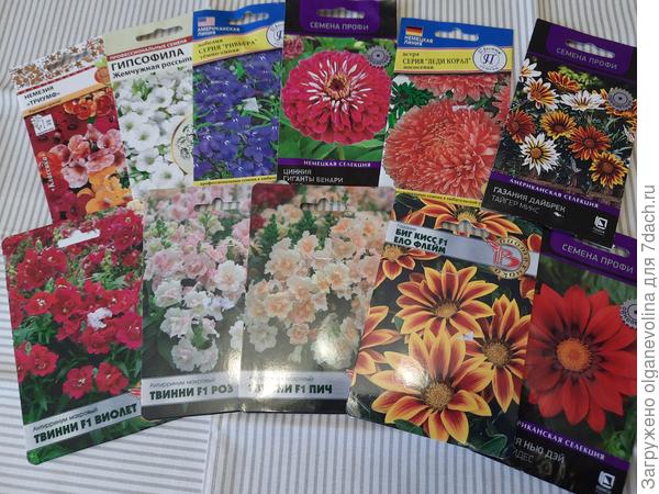 А ещё любимый Абрикосовый зонтик посею