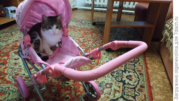 чувствует себя любимым ребенком