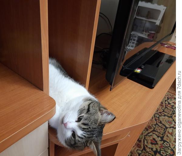 спит, где хочет