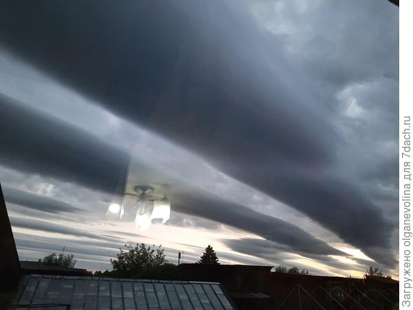 этот снимок сделала из окна кухни, светильник отразился