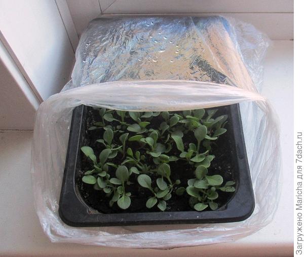 Вот так подворачиваю пакет.