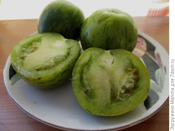 Плод в разрезе