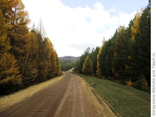 осень