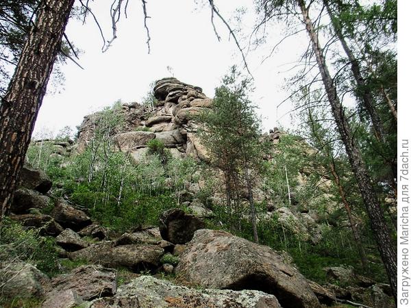 Скала с сосной на вершине