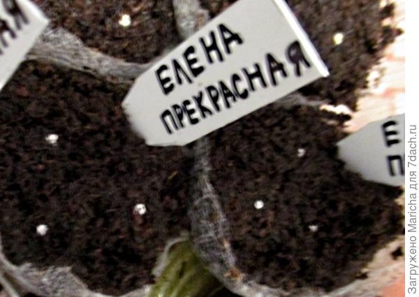 Разрушенные гранулы