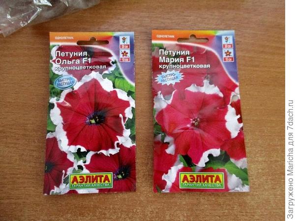 Ольга и Мария