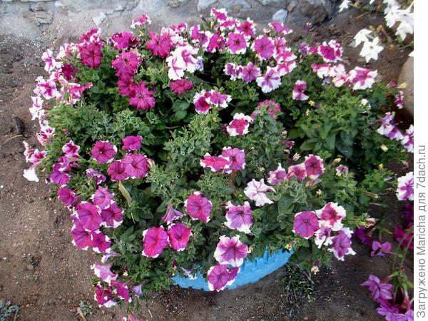 Заморозки 23 сентября
