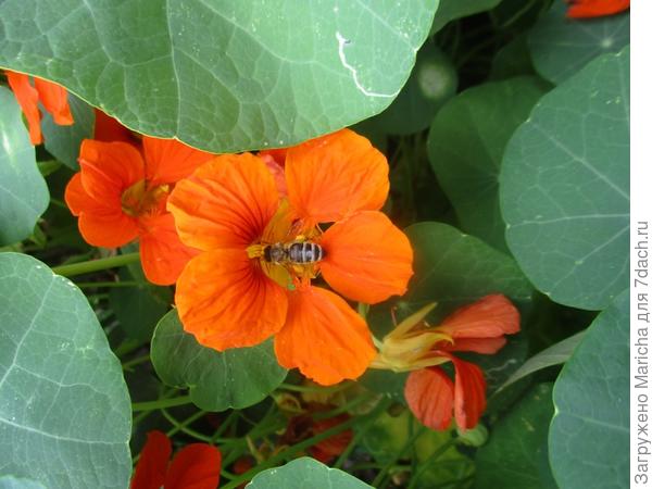 Не только мне понравилась!